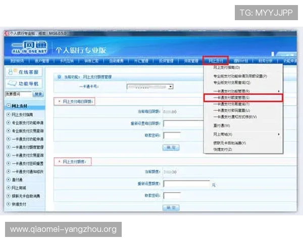 亚星地址登录入口官方渠道推荐及常见登录问题解决方案解析