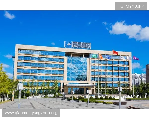 k8凯发国际入口：如何选择正规可靠的在线博彩平台详细指南